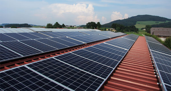 Экологичные дешевые солнечные панели
