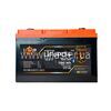 Аккумулятор LP LiFePO4 12,8V – 100 Ah (1280Wh) (BMS 100A/50А) пластик LCD USB Smart BT
