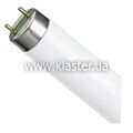Лампа люмінесцентна OSRAM G13 36W/765 (54) L