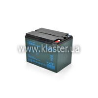 Тяговий акумулятор AGM MERLION 12V 60Ah (6-DZM-60)